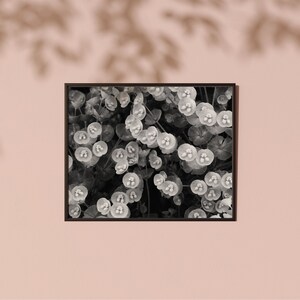 May include: Black and white photograph of a cluster of small, delicate flowers. The flowers are arranged in a dense, almost chaotic pattern, creating a sense of movement and energy. The image is framed in a simple black frame.
