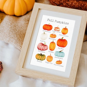 Fall Pumpkins Watercolor Art Print, Types of Pumpkin, Heirloom Pumpkin Chart, Fall Wall Art, Autumn Thanksgiving Decoration, Fall Home Decor