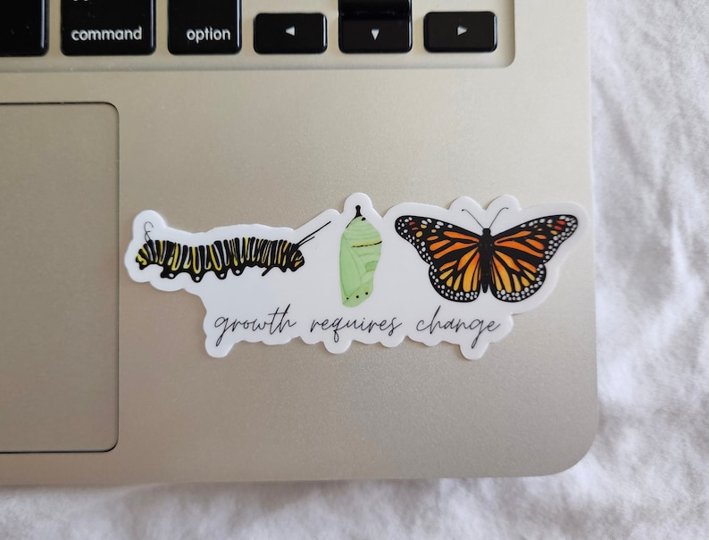Pegatina de vinilo mate troquelada con la imagen de la mariposa monarca. El crecimiento requiere cambios. Resistente al agua y a los arañazos. Ideal para botellas de agua, portátiles y notebooks. imagen 5