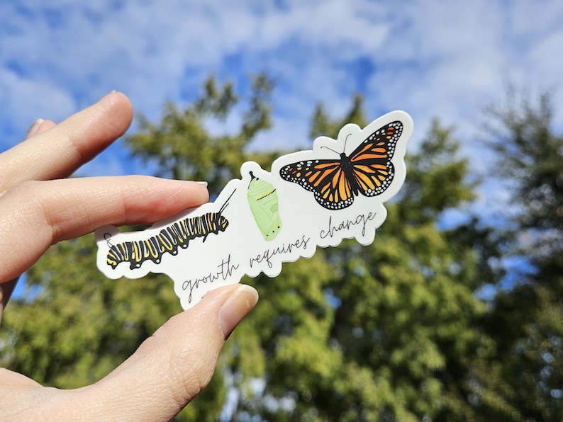 Pegatina de vinilo mate troquelada con la imagen de la mariposa monarca. El crecimiento requiere cambios. Resistente al agua y a los arañazos. Ideal para botellas de agua, portátiles y notebooks. imagen 4