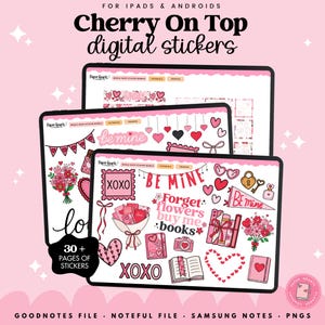 Coquette Cherry Stickers for Digital Planning. Perfect for February or Valentine's Day. Includes Goodnotes, Noteful, Samsung Notes Files PNG