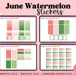 Watermelon Stickers, Summer Stickers, June Stickers, Digital Stickers, Goodnotes Stickers, Noteful Stickers, Planner Stickers image 6