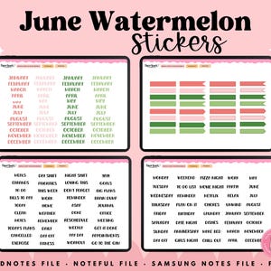 Watermelon Stickers, Summer Stickers, June Stickers, Digital Stickers, Goodnotes Stickers, Noteful Stickers, Planner Stickers image 9