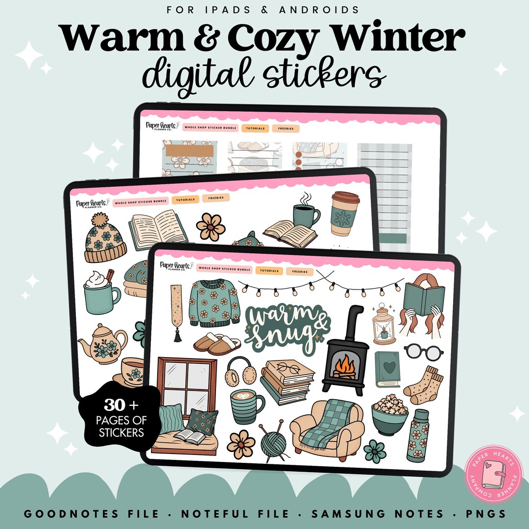 Winter Digital Stickers, January Stickers for Digital Planning ...