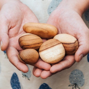 May include: A person's hands holding a collection of five smooth, wooden, oval-shaped stones. The stones are various shades of brown and have a natural wood grain.
