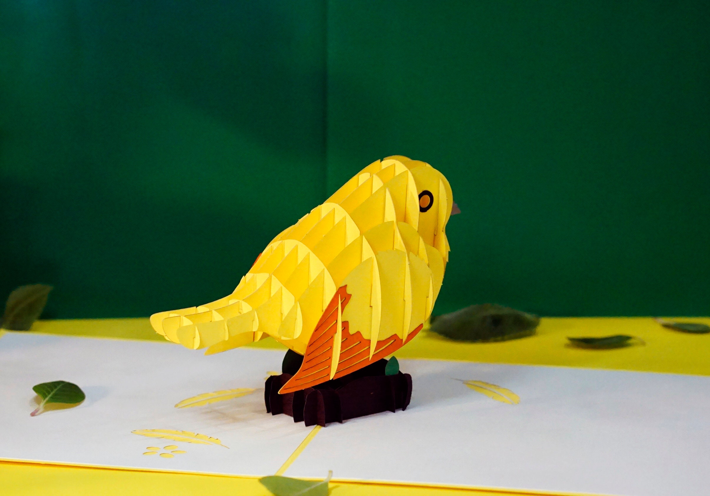 Bird Pop Up Cards / 3D Birthday Card Bird Lover Gift / Little Etsy