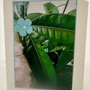 Tarjeta de felicitación: Planta del Dinero, Amarillo, Hojas Verdes, Flor para Cumpleaños, Aniversario, Gracias, Pensando en Ti, Esperanza, Buena Suerte