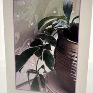 Carte de voeux : plante verte à feuilles de caoutchouc en bronze, pot de roses cendrées pour un anniversaire, un anniversaire, un merci, une pensée pour vous, la maison, jardinier