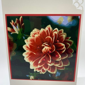 CARTE DE VUX : fleurs roses, rouges, blanches et jaunes pour un anniversaire, un anniversaire, un merci, une pensée pour vous, des condoléances