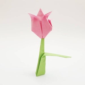 Origami tulips