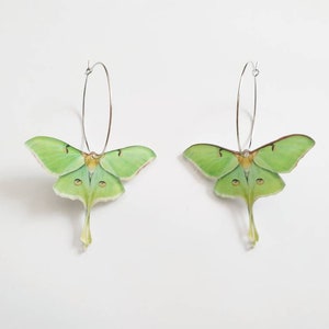 Creole earrings "Luna Moth" in silver and green