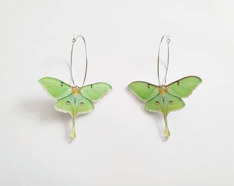 Creole earrings "Luna Moth" in silver and green