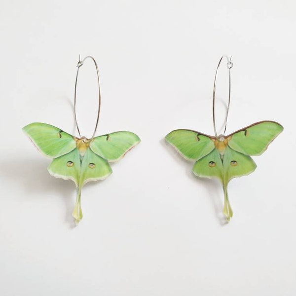 Creolen Ohrschmuck "Luna Moth" in silbern und grün
