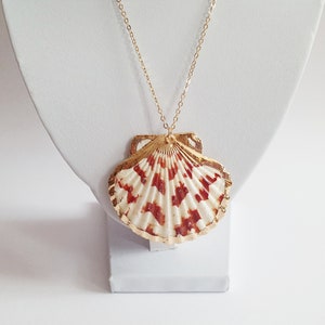 Necklace "Mermaid Treasure" with real shell