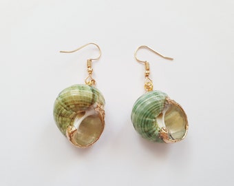 Pendientes de concha "Mermaid Treasure" con conchas verdes y ganchos bañados en oro