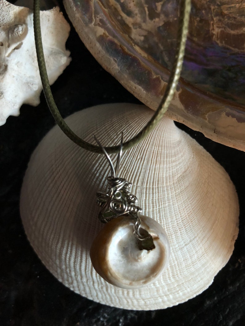 Sea Shell Necklace Snail Shell Necklace Healing Necklace Etsy
