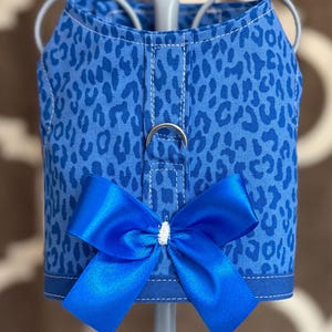 May include: Blue leopard print dog harness with a matching blue satin bow. The harness has a D-ring for leash attachment and white stitching details. A stylish accessory for small dogs.