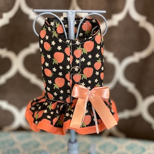 May include: A black dog harness with a pink bow and a strawberry print. The harness has a ruffle trim and an orange trim.