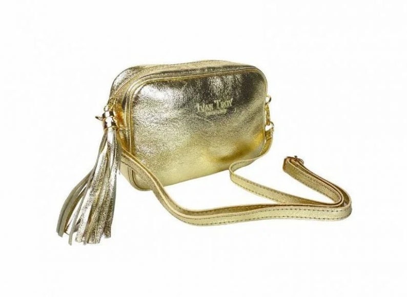 Faux Leather Crossbody Handbag Gold Chrome Tassle Camera Bag 