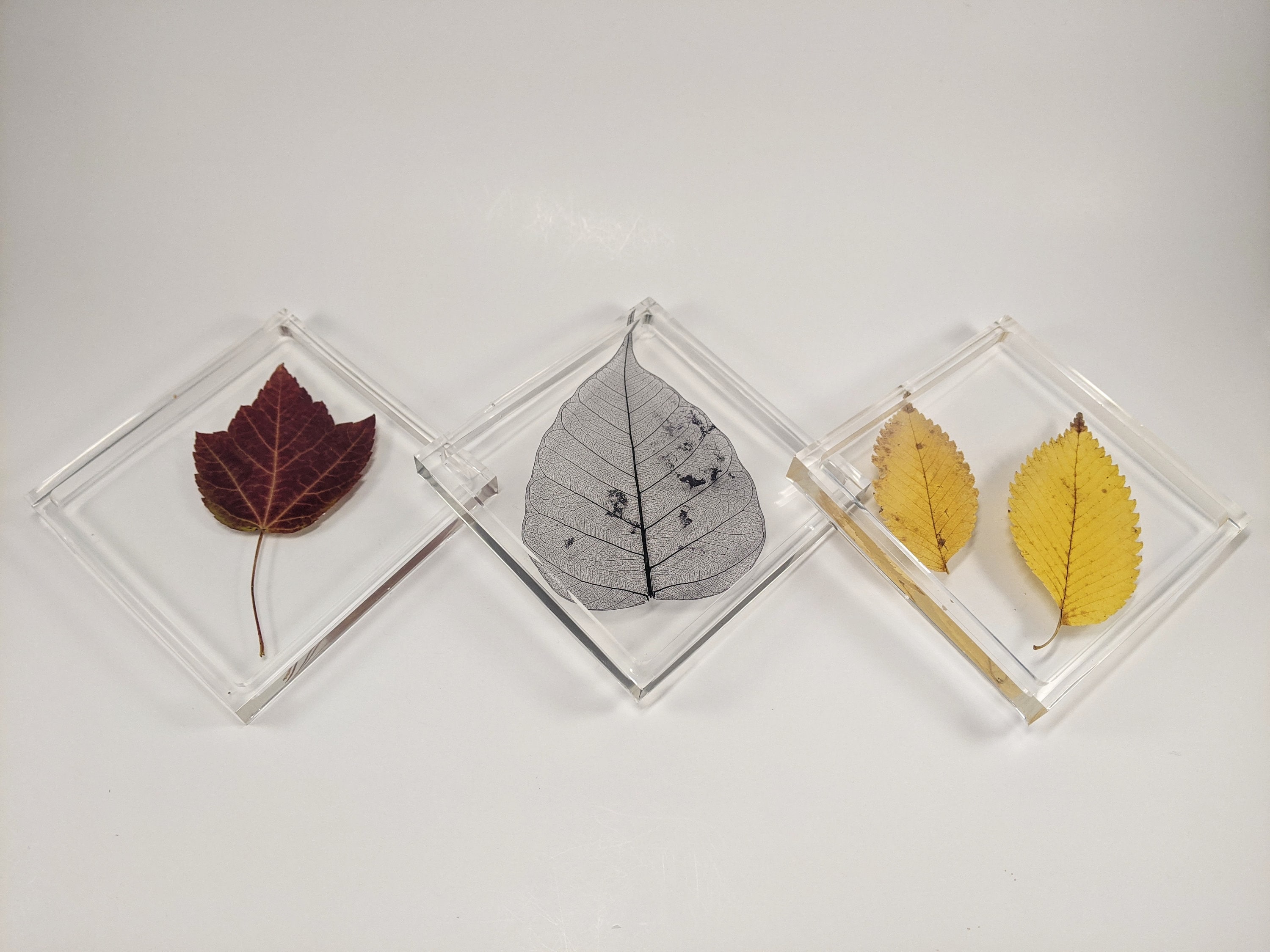 Handmade Leaf Coasters Set of 3 Housewarming Gift Botanical Etsy