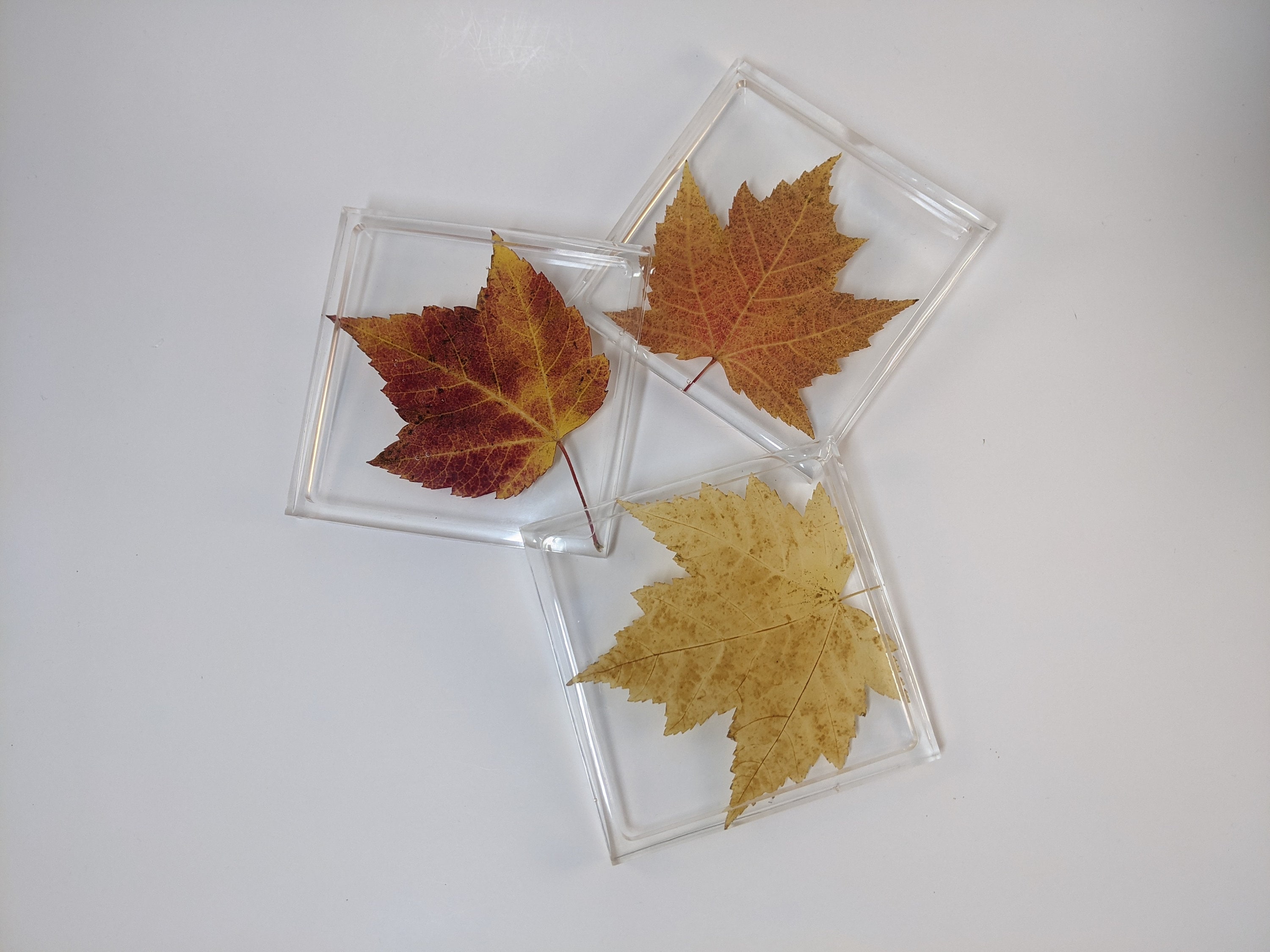 Autumn Leaf Coasters Set of 3 Housewarming Gift Father's Etsy