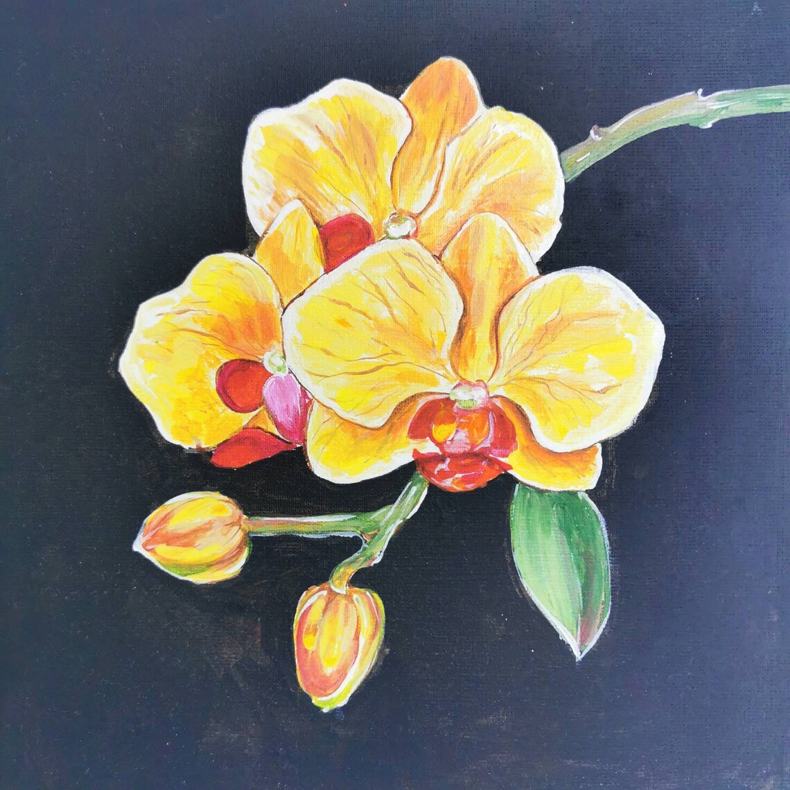 Yellow orchid. Acrylic painting. Yellow flowers on a dark Etsy