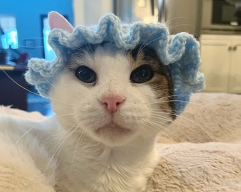 crochet ruffle hat for cats or small dogs | cat hats, crochet hats, crochet cat hats, crochet