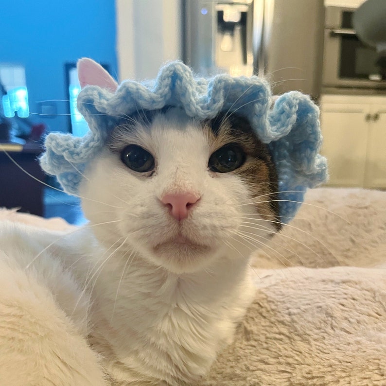 crochet ruffle hat for cats or small dogs cat hats, crochet hats, crochet cat hats, crochet image 1