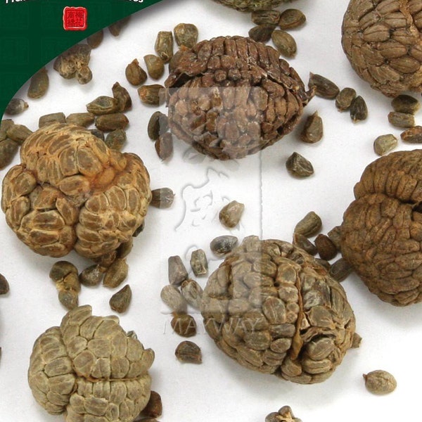 Cao Dou Kou, unsulfured Alpinia katsumadai seed 500g/bag GMP Certified