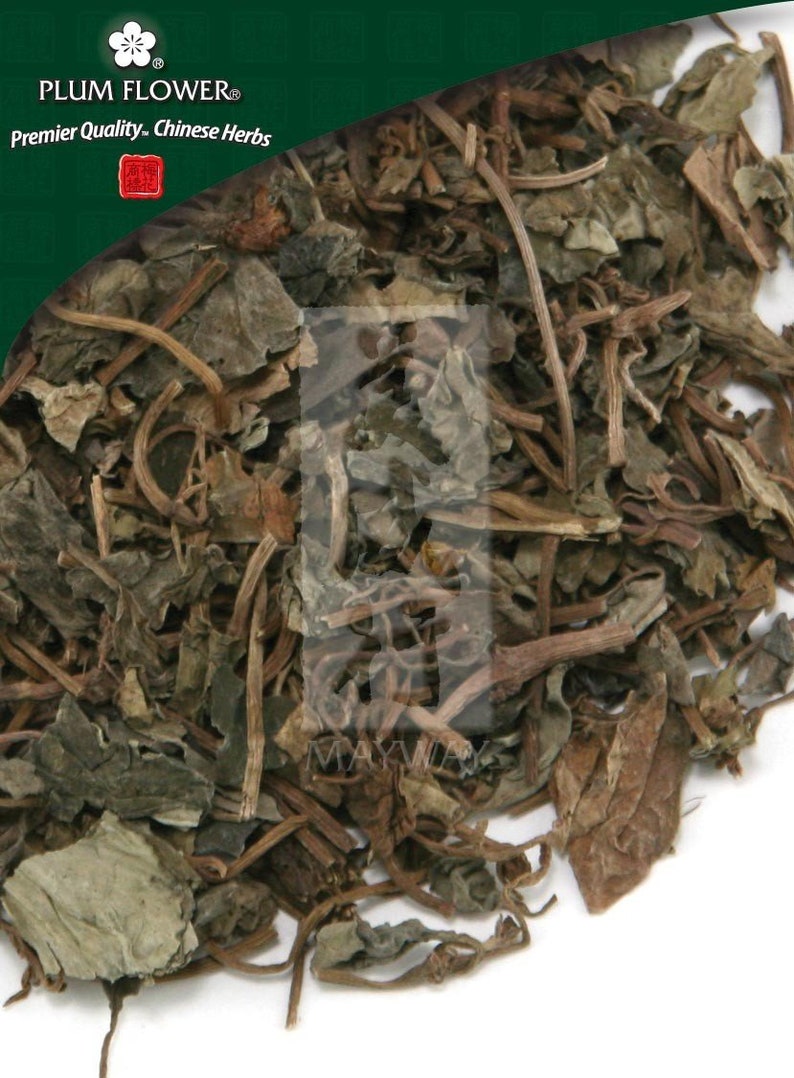 Jin Qian Cao unsulfured Lysimachia christinae herb 500gbag GMP Certified