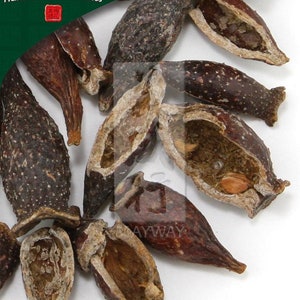 Jin Ying Zi, unsulfured Rosa laevigata fruit