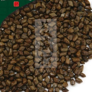 Jue Ming Zi, unsulfured Cassia obtusifolia seed 500g/bag GMP Certified