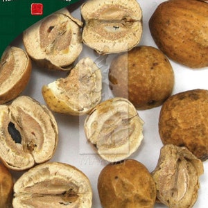 Chuan Lian Zi, unsulfured Melia toosendan fruit 500g/bag GMP Certified