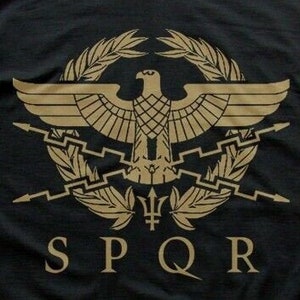SPQR Roman Gladiator Imperial Golden Eagle Army printed t-shirt 9183