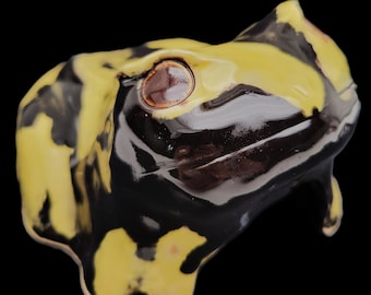 ヒキガエルの家 - 両生類の洞窟 - 小型げっ歯類の家 - 生き物の隠れ家 - ヤドクガエル（黄色/黒）