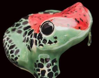 ヒキガエルの家 - 両生類の洞窟 - 小型げっ歯類の家 - 生き物の隠れ家 - ヤドクガエル 緑 赤 黒