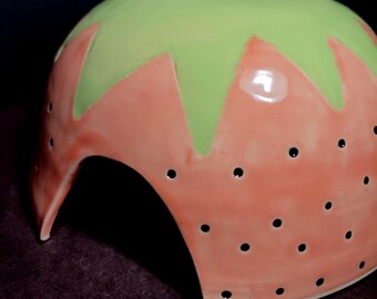 ヒキガエルの家 - 両生類の洞窟 - 小さなげっ歯類の家 - 生き物の隠れ家 - イチゴ