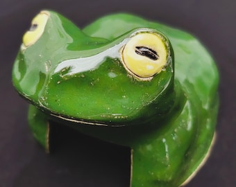 ヒキガエルの家 - 両生類の洞窟 - 小型げっ歯類の家 - 生き物の隠れ家 - アマガエル