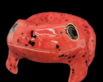ヒキガエルの家 - 両生類の洞窟 - 小型げっ歯類の家 - 生き物の隠れ家 - ヤドクガエル 黒赤