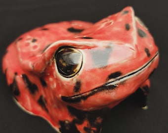 ヒキガエルの家 - 両生類の洞窟 - 小型げっ歯類の家 - 生き物の隠れ家 - ヤドクガエル 赤黒