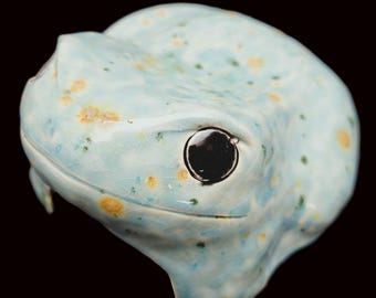 ヒキガエルの家 - 両生類の洞窟 - 小型げっ歯類の家 - 生き物の隠れ家 - ヤドクガエルの苔むした緑