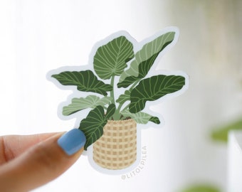 Alocasia Plant Matte Sticker | alocasia sticker, plant sticker, plant lover, houseplant, plant mom sticker, laptop journal planner sticker