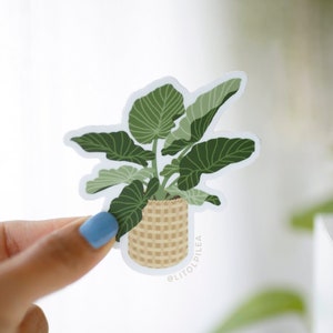 Alocasia plant matte sticker | alocasia sticker, plant sticker, plantenliefhebber, kamerplant, plant moeder sticker, laptop dagboek planner sticker