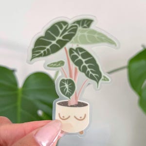 Alocasia Pink Dragon doorzichtige en matte sticker | plantensticker, olifantsoor, plantenmoeder, cadeau plantenliefhebber, kamerplantsticker, alocasia, cadeau