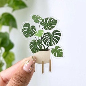 Clear Monstera Deliciosa Waterproof Sticker monstera sticker plant sticker plant lover houseplant plant mom sticker laptop image 1