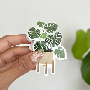 Clear Monstera Deliciosa Waterproof Sticker monstera sticker plant sticker plant lover houseplant plant mom sticker laptop image 2