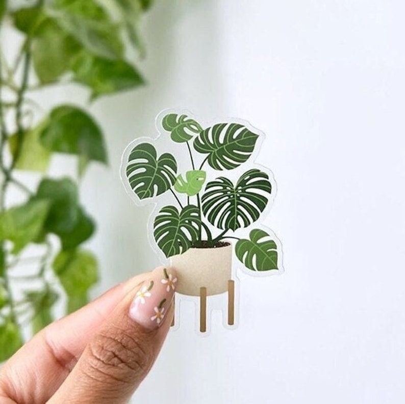K&ouml;nnte beinhalten: Ein transparenter Aufkleber mit einer Monstera-Pflanze im Topf mit gr&uuml;nen Bl&auml;ttern. Die Pflanze steht in einem wei&szlig;en Topf mit einem Holzst&auml;nder.