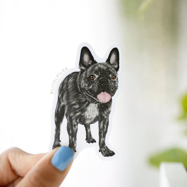 May include: Black and white French bulldog sticker with a pink tongue sticking out. The sticker is on a white background.