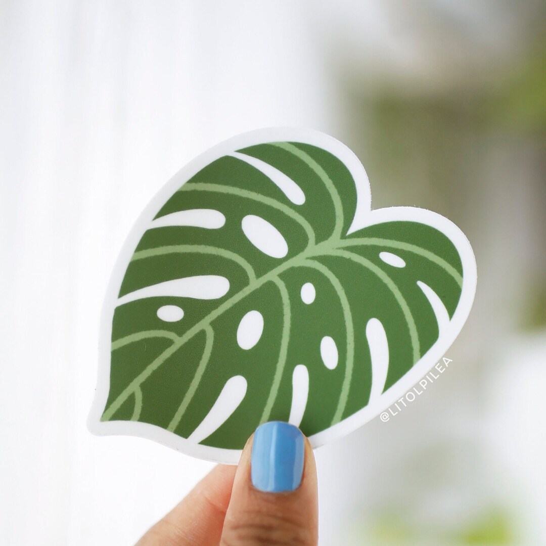 Monstera Deliciosa Leaf Matte Sticker | Monstera Sticker, Plant Lover ...