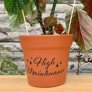 High Maintenance 6” Plastic Terra Cotta Planter Pot